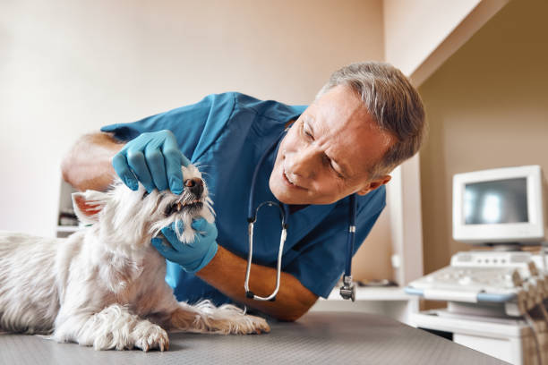 Best Emergency Dental Care for Trauma or Injury in Merrimac, VA